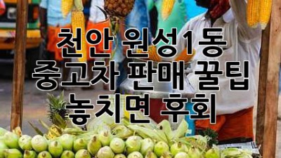 천안 원성1동 중고차 판매 꿀팁🍯: 놓치면 후회!