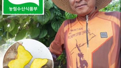 열매마솔향마루농장 솔직 후기: 꿀팁 가득한 내돈내산 구매 후기!